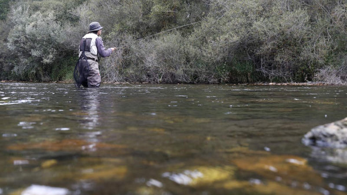 Un pescador en uno de los muchos ríos que existen en la provincia y que a partir del 26 de marzo abren sus puertas a la temporada. FERNANDO OTERO
