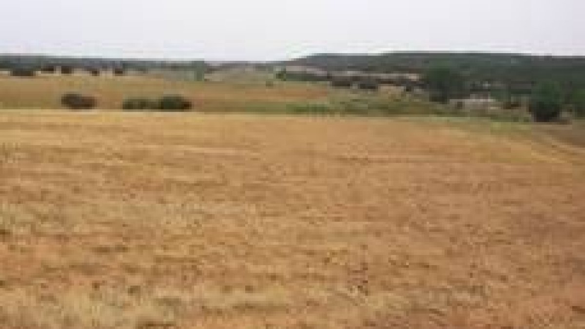 Vista parcial de los terrenos que serán inundados por la presa del arrollo de La Semillana