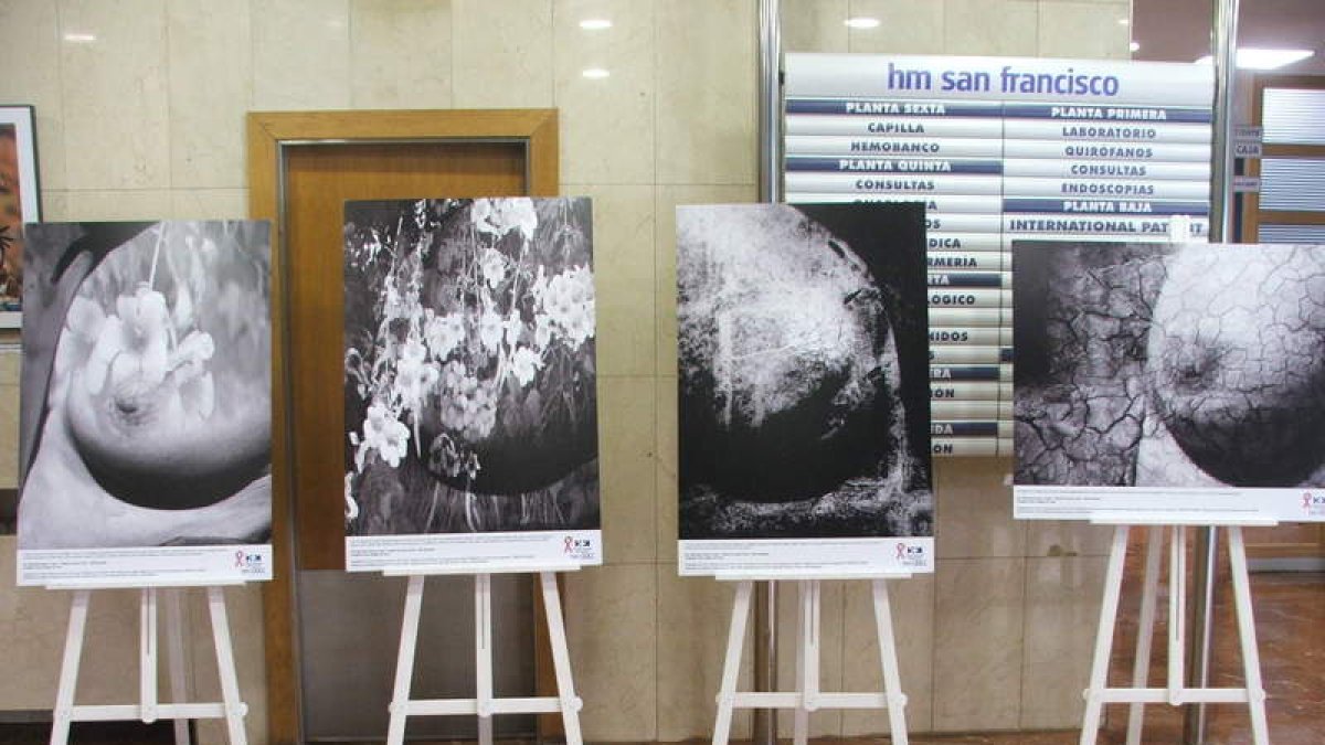 JESúS F. SALVADORES