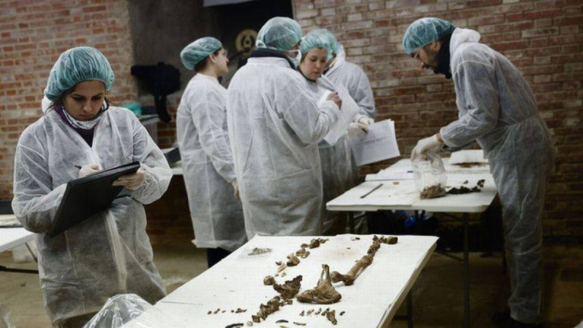 Trabajo forense en la cripta de las Trinitarias de Madrid