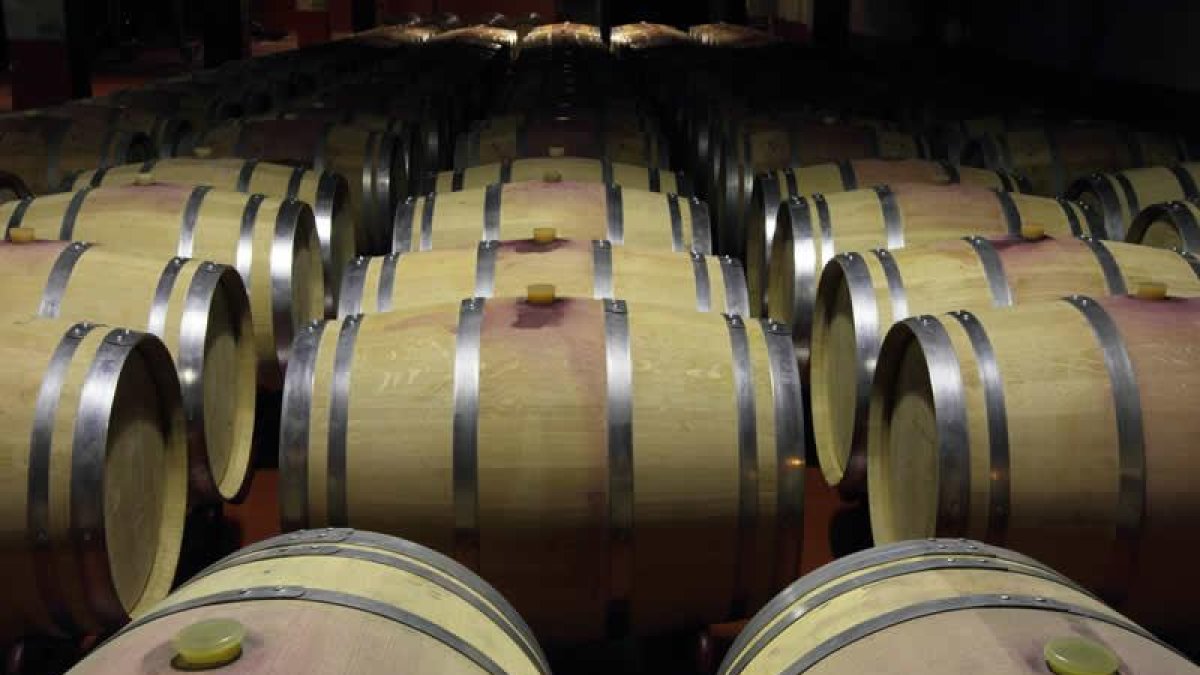 Vinos de El Bierzo: 5 bodegas para celebrar al máximo el enoturismo. Foto: archivo.