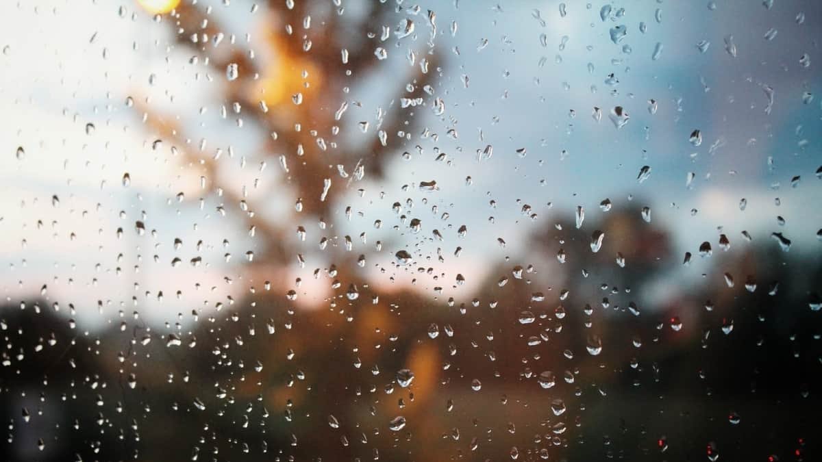 El tiempo en Gusendos de los Oteros AEMET Foto: Pexels