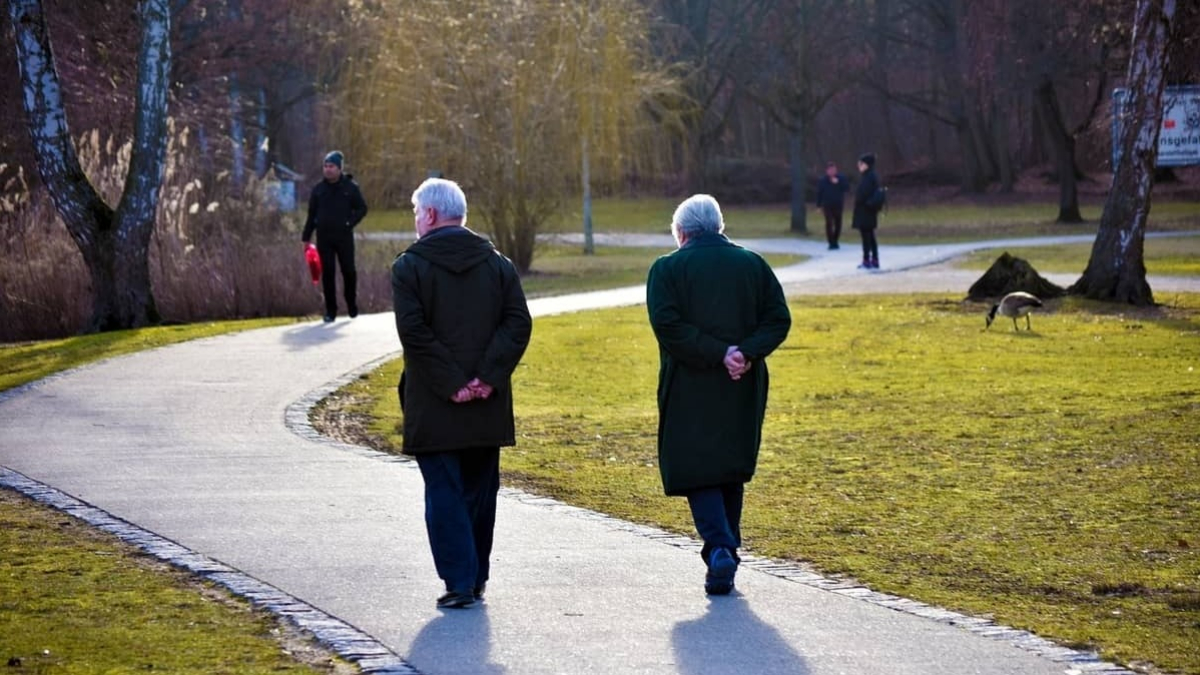 Pensiones en León 2022: qué cambios tendrán las cuantías de jubilación. Foto: pixabay.