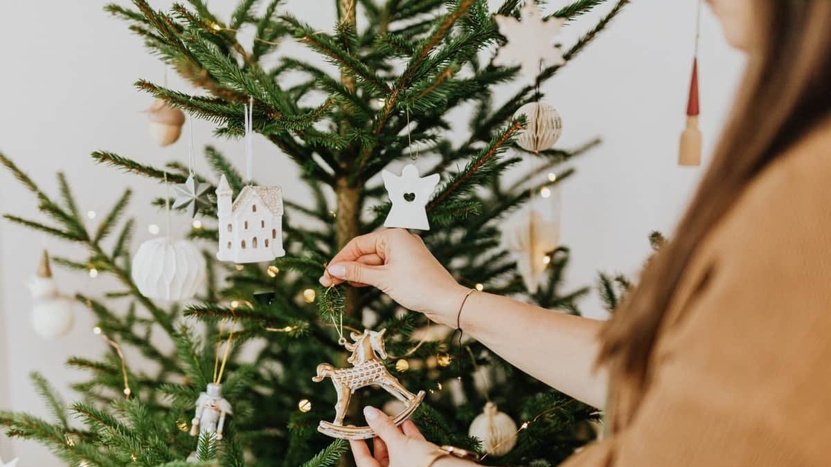 ¿Cuáles son las tradiciones de Navidad en León?