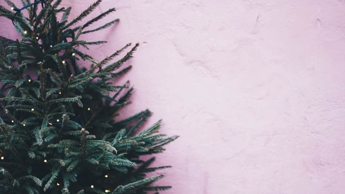 Árbol Navidad León 2020: 7 formas de decorarlo este año Foto: Pexels