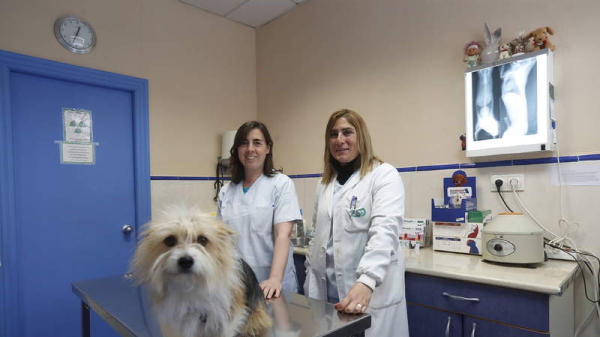 Las doctoras Cristina Rodríguez y Zulima Suárez. JESÚS F. SALVADORES