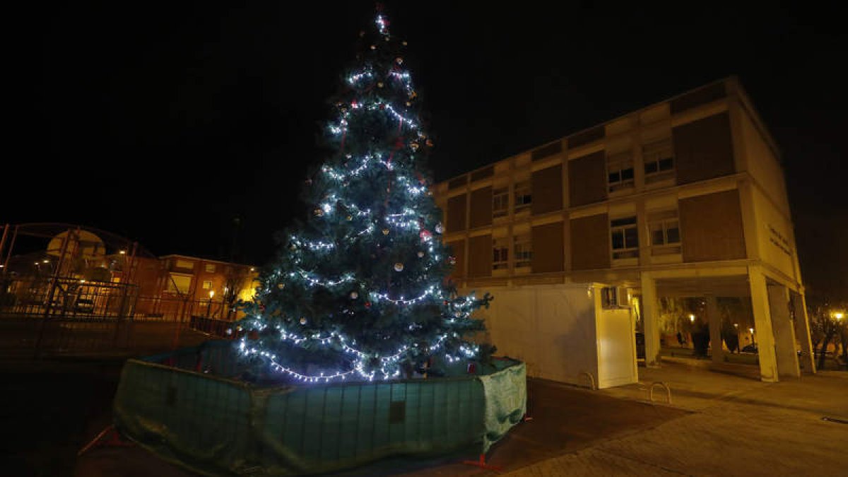 El barrio de Pinilla ilumina la Navidad con un gigantesco pino lleno de bolas y adornos. El ramo leonés se sitúa ante el Ayuntamiento