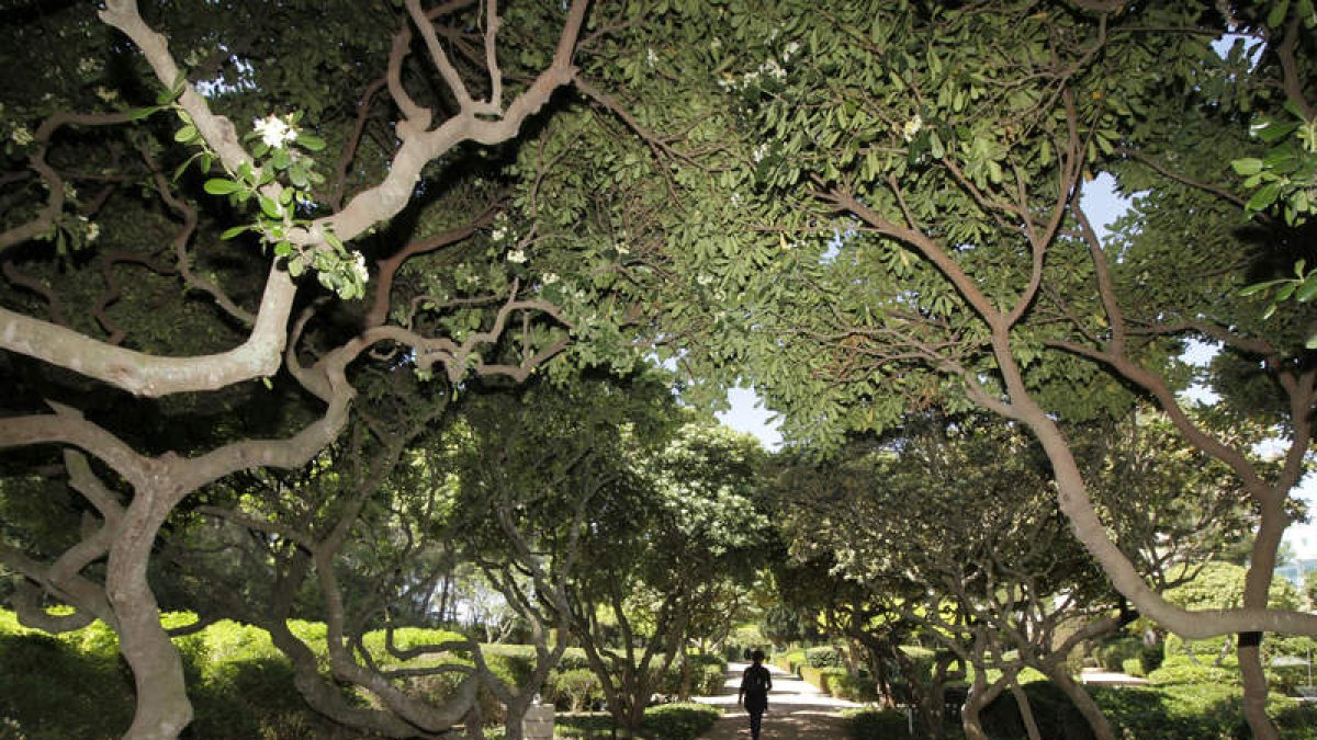 Imagen de uno de los jardines del palacio de Marivent, en Palma de Mallorca. J. GRAPELLI