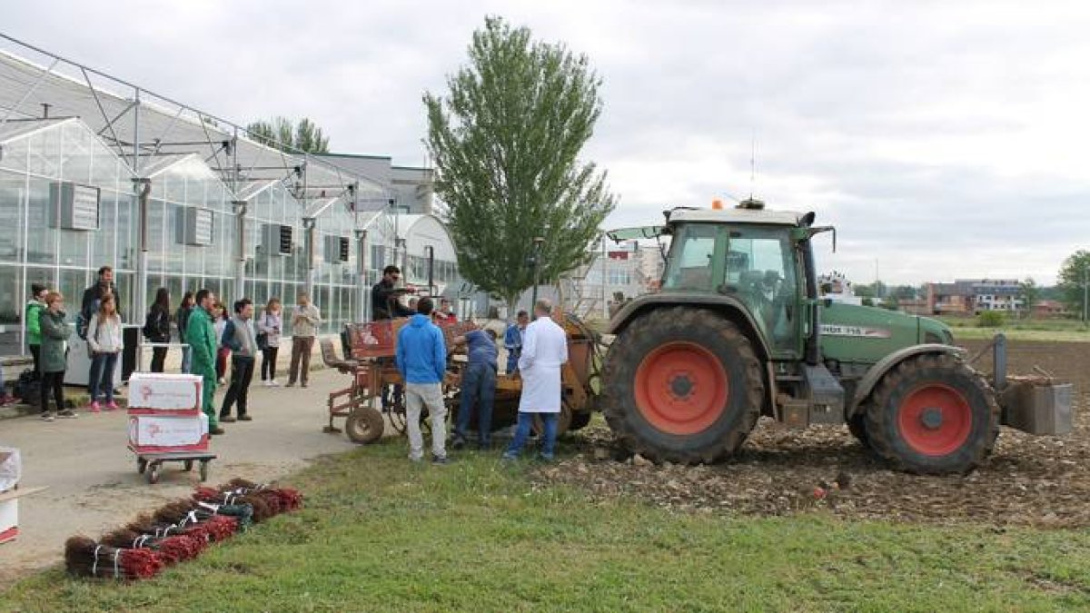La formación práctica de los alumnos es fundamental en la Escuela de Agrícolas de la Universidad de León. DL
