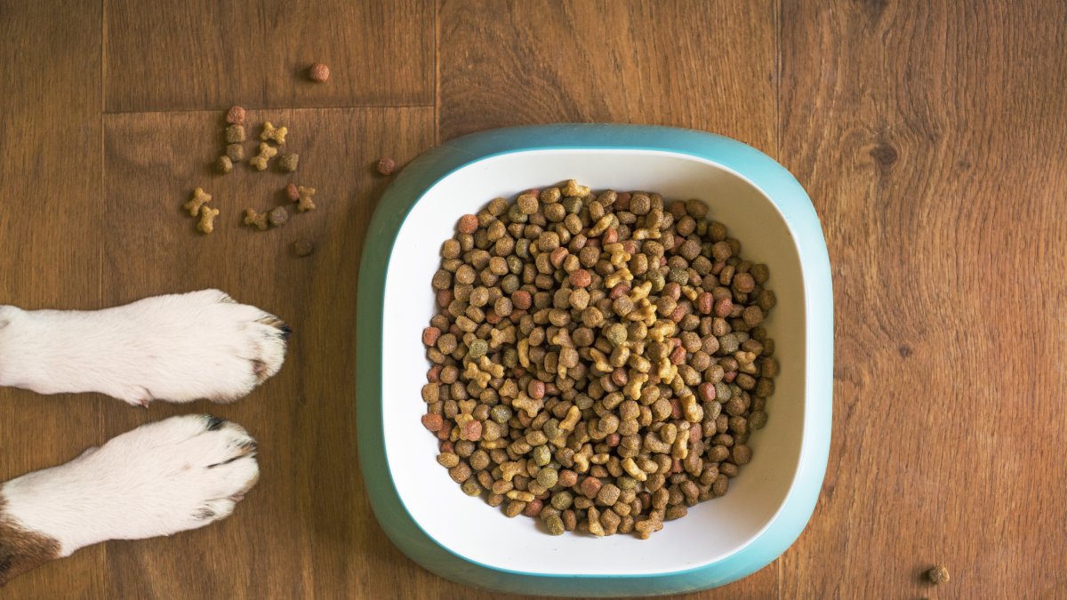 El sábado 6 de mayo se organiza una macrorecogida de alimentos para familias con perros y gatos en dificultades económicas. Será en los Mercadona de la provincia