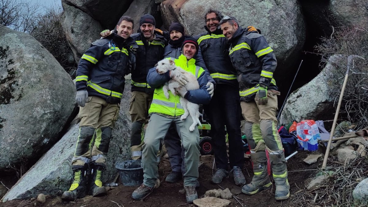 El rescate de chispa: los bomberos tardan dos días en rescatar a una perra atrapada entre rocas