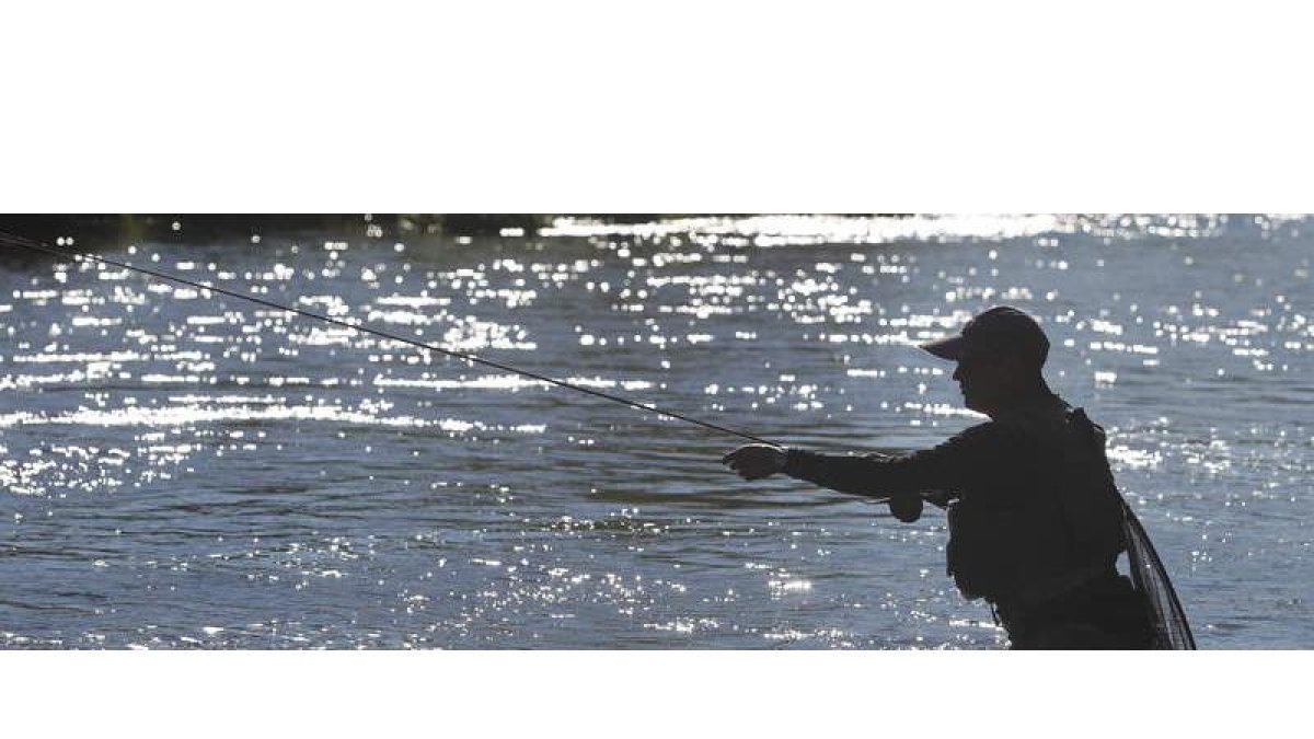 Los aficionados tentarán la suerte con sus cañas tanto en los cotos, en los tramos AREC como en el resto de aguas libres sin muerte.
