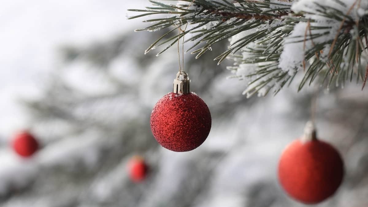 Navidad León 2020: programación, restricciones y medidas Foto: Pexels