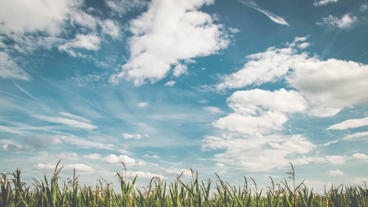 El tiempo en Santa Cristina de Valmadrigal AEMET Foto: Pexels
