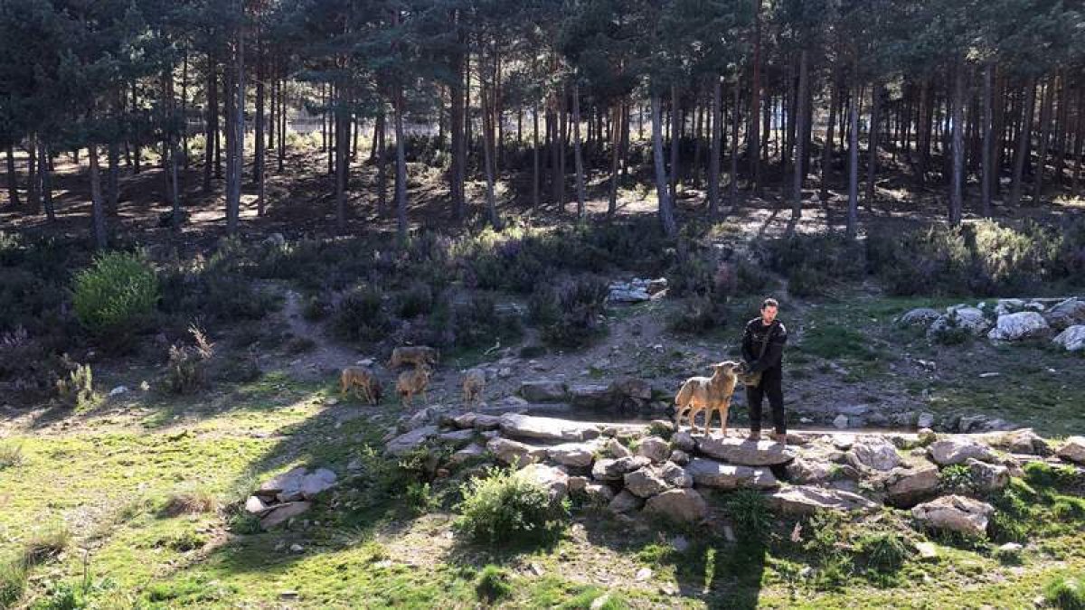 Los alumnos de Ingeniería Forestal y del Medio Natural visitaron hace poco el Centro del Lobo Ibérico. DL