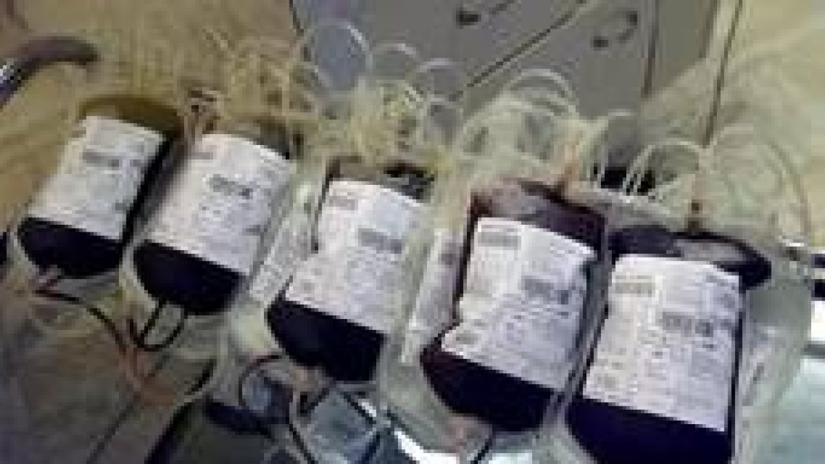 Hasta 150.000 muertes relacionadas con el embarazo pueden evitarse al año con donaciones