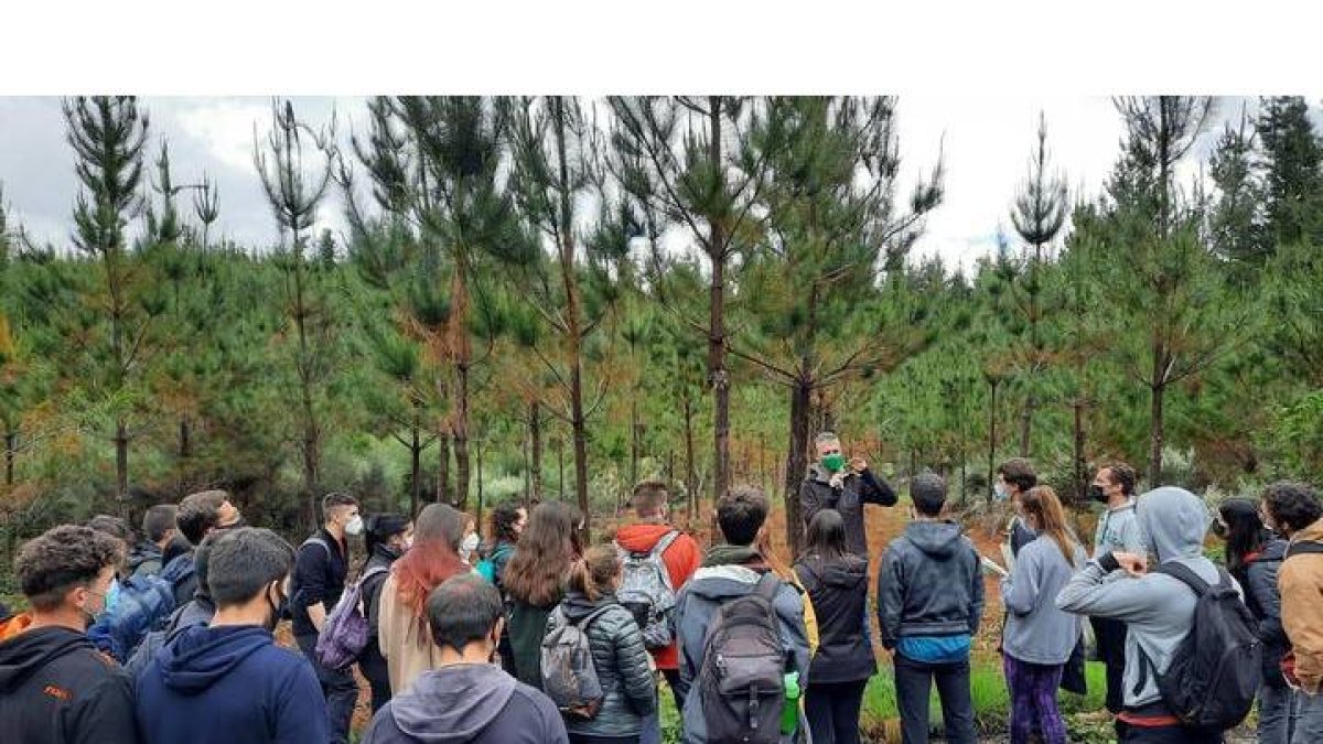 Alumnos de forestales durante una de las actividades que llevan a cabo en su formación. DL