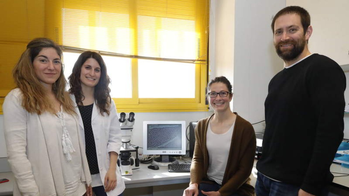 El equipo que conforma Micros Veterinaria, en sus instalaciones en el edificio Indegsal. RAMIRO