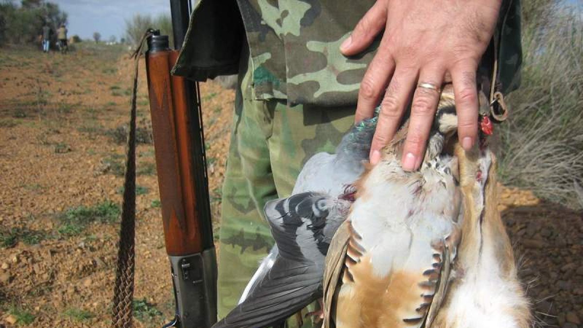 Un cazador leonés sujeta las perdices conseguidas en una jornada de caza. DL
