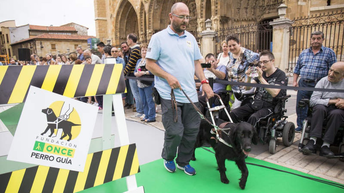 Muestra de adiestramiento de un perro guía, ayer en la plaza de la Catedral. FERNANDO OTERO PERANDONES