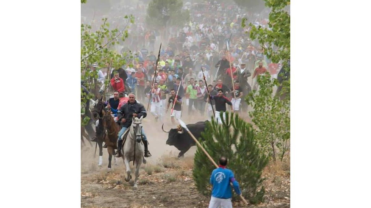 Los lanceros persiguen a 'Rompesuelas' a pie y a caballo. No se respetó el orden de lidia.