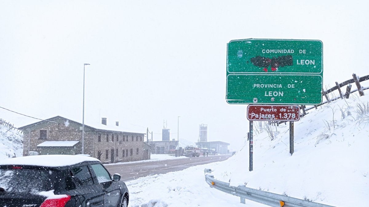nieve
