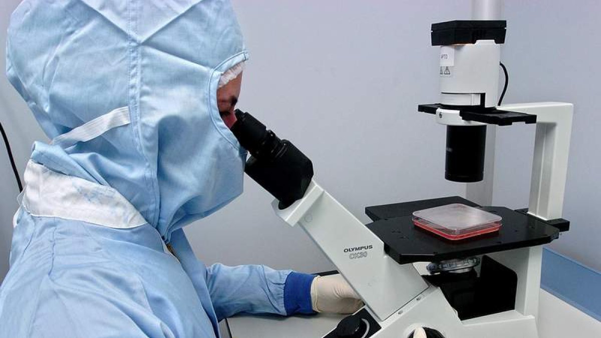 Un investigador, en una imagen de archivo.
