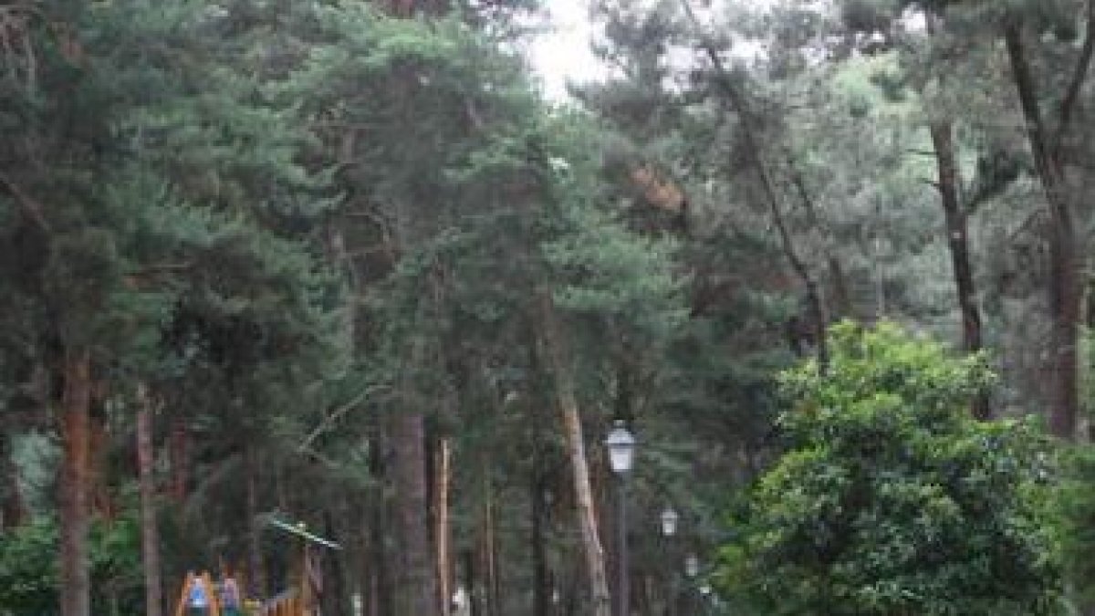 En las trampas colocadas en el parque del Temple se introdujeron feromonas femeninas.