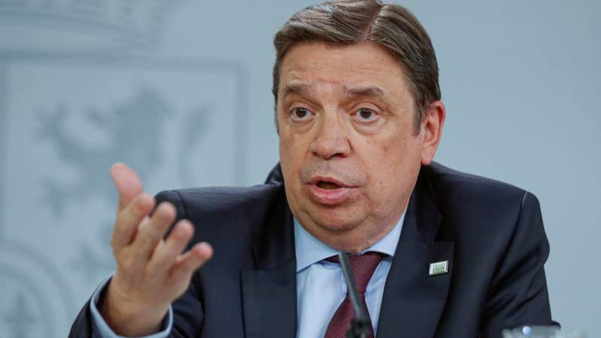 El ministro de Agricultura, Pesca y Alimentación, Luis Planas.