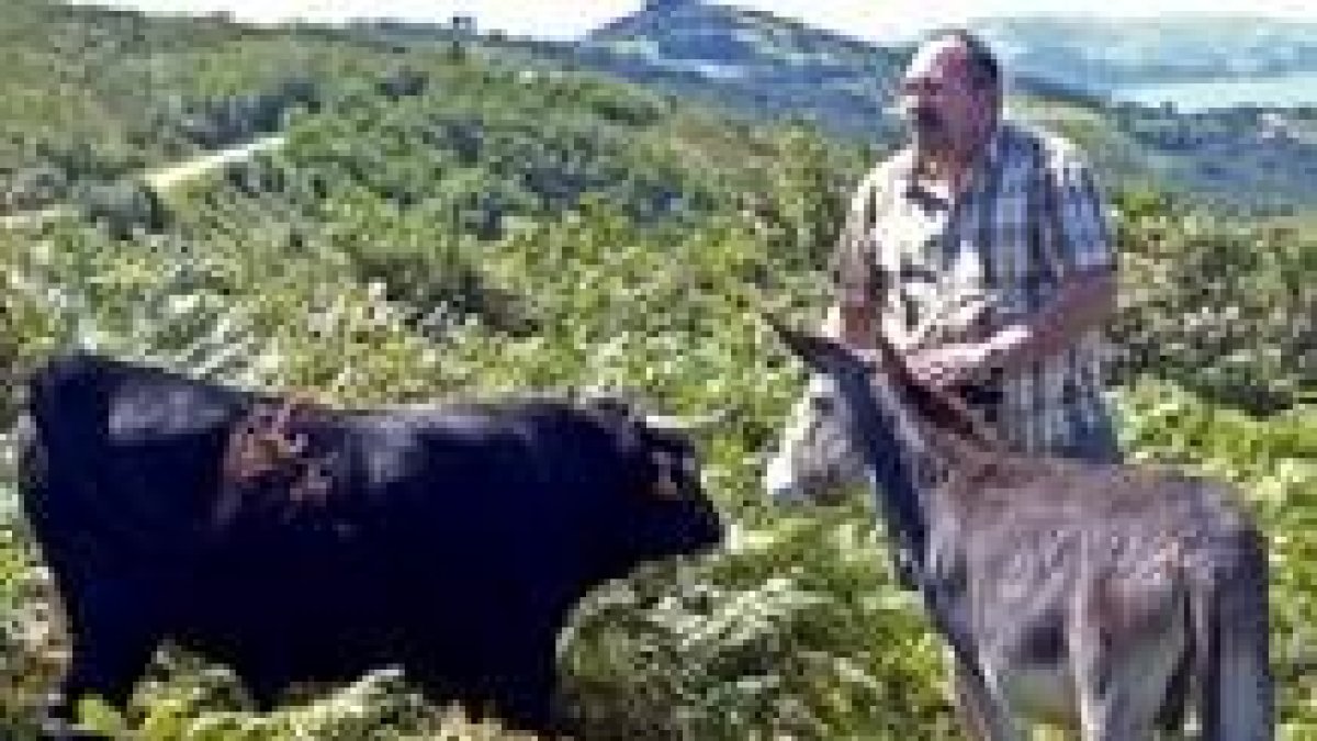 Patxi, que regenta «Maddiola», en el monte Igueldo de San Sebastián, alimenta a dos de sus animales