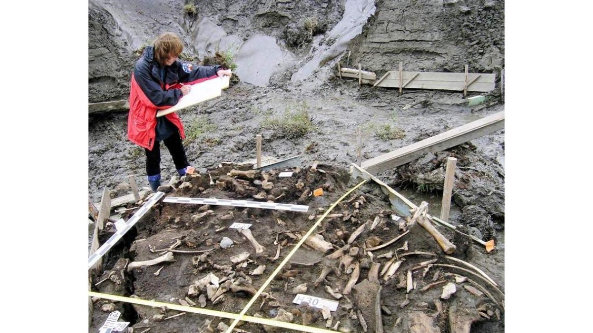 Excavaciones arqueológicas en el noreste de Siberia. ELENA PAVLOVA