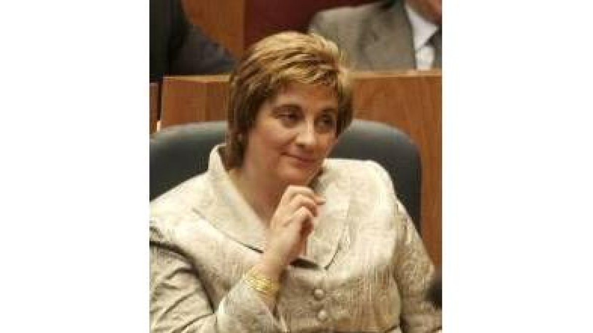 Una de las deficiencias que denuncia el PAL en el parque de La Era