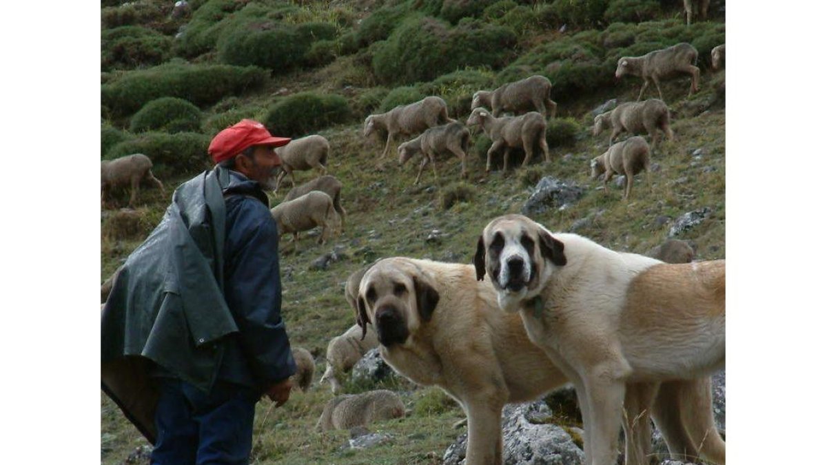 Los ecologistas plantean un nuevo modelo basada en la protección. FOP