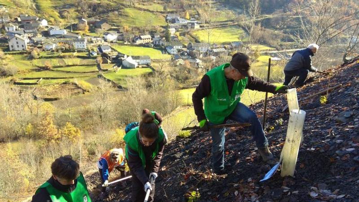 Varios participantes en la iniciativa de WWF Alto Sil trabajan en la escombrera de Orallo. DL