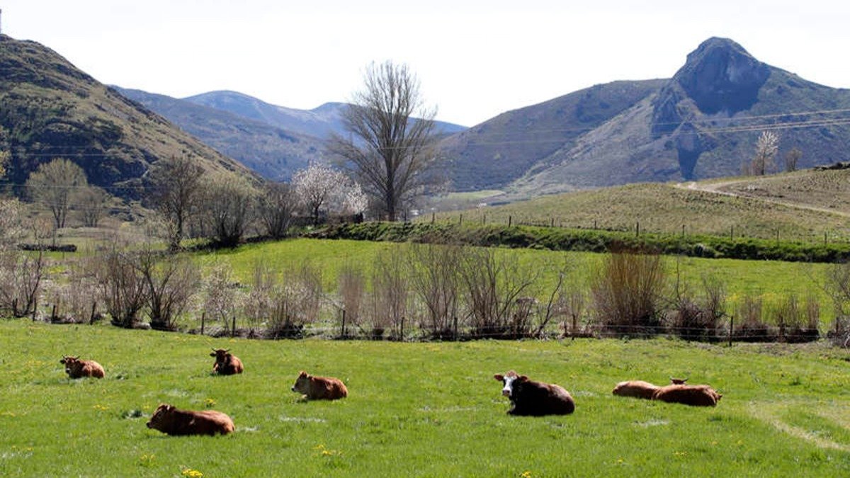 Paisaje en Cabrillanes