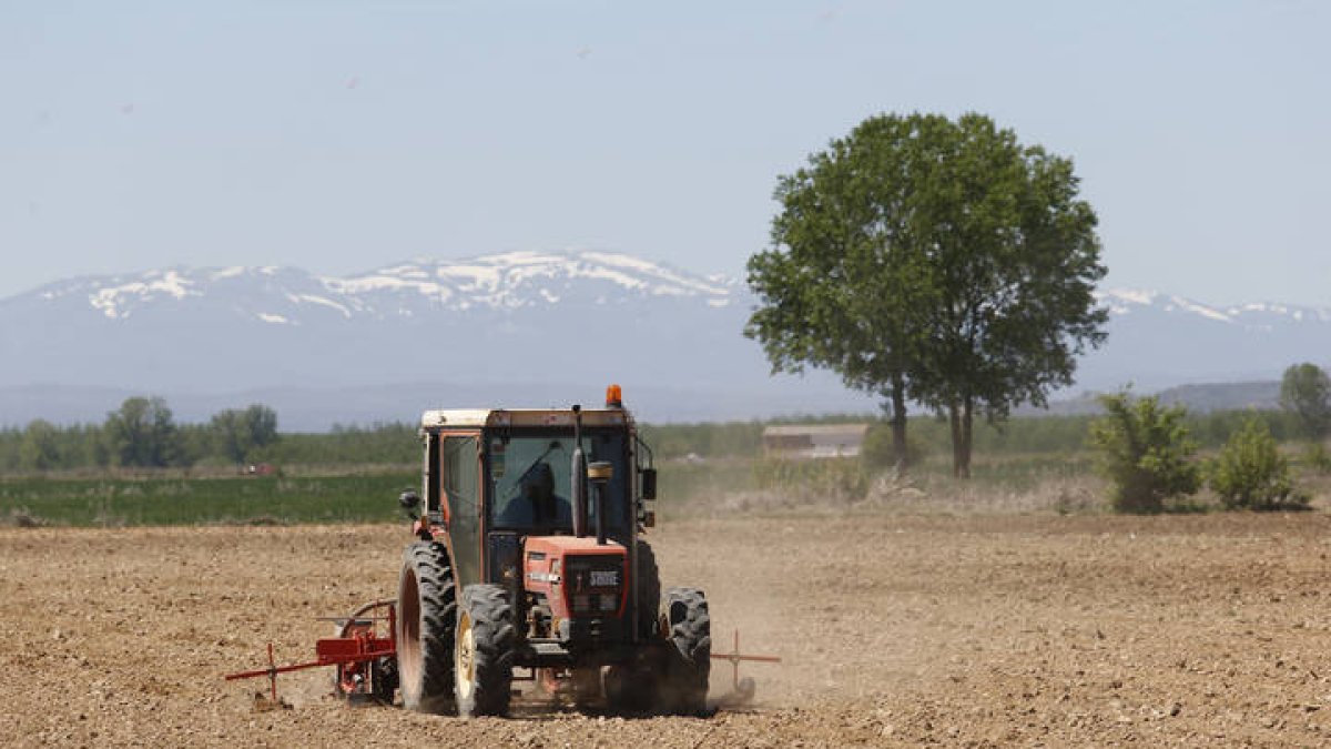 Agricultura en el Páramo. JESÚS F. SALVADORES