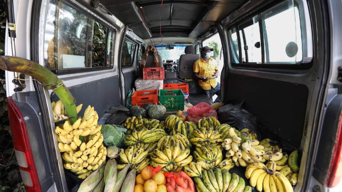 Un guía turístico vende fruta en el vehículo que antes utilizaba para transportar turistas por la selva. DANIEL IRUNGU