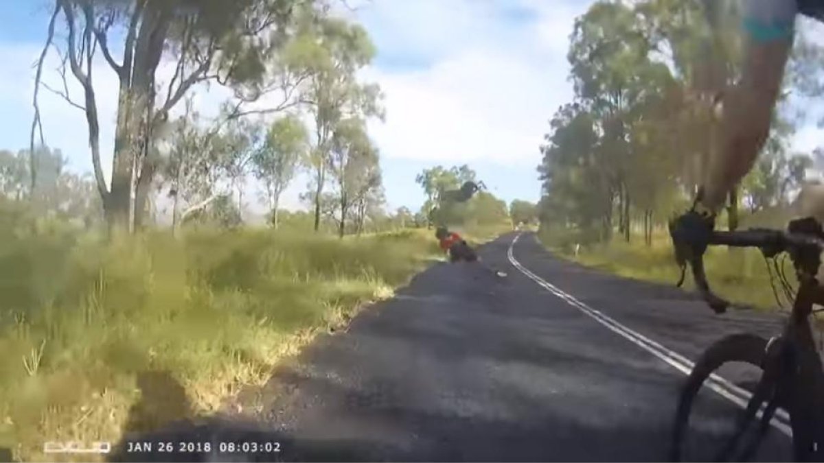 Captura del vídeo en el momento en el que el canguro salta por sorpresa encima de la ciclista.