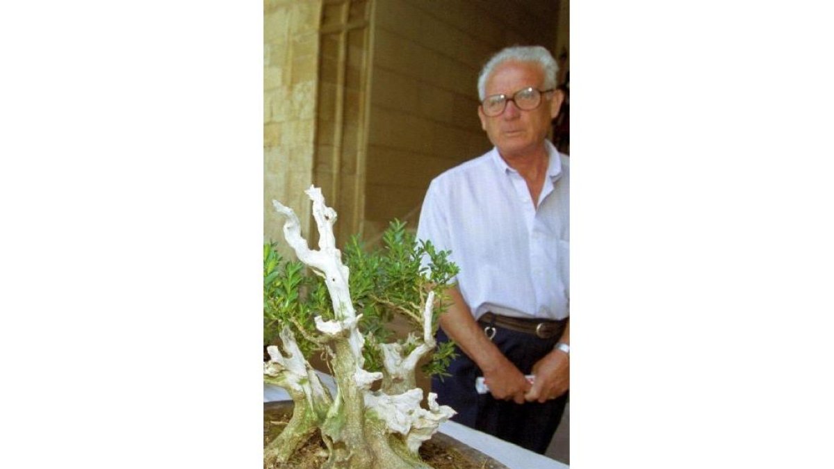 Exposición de Bonsais