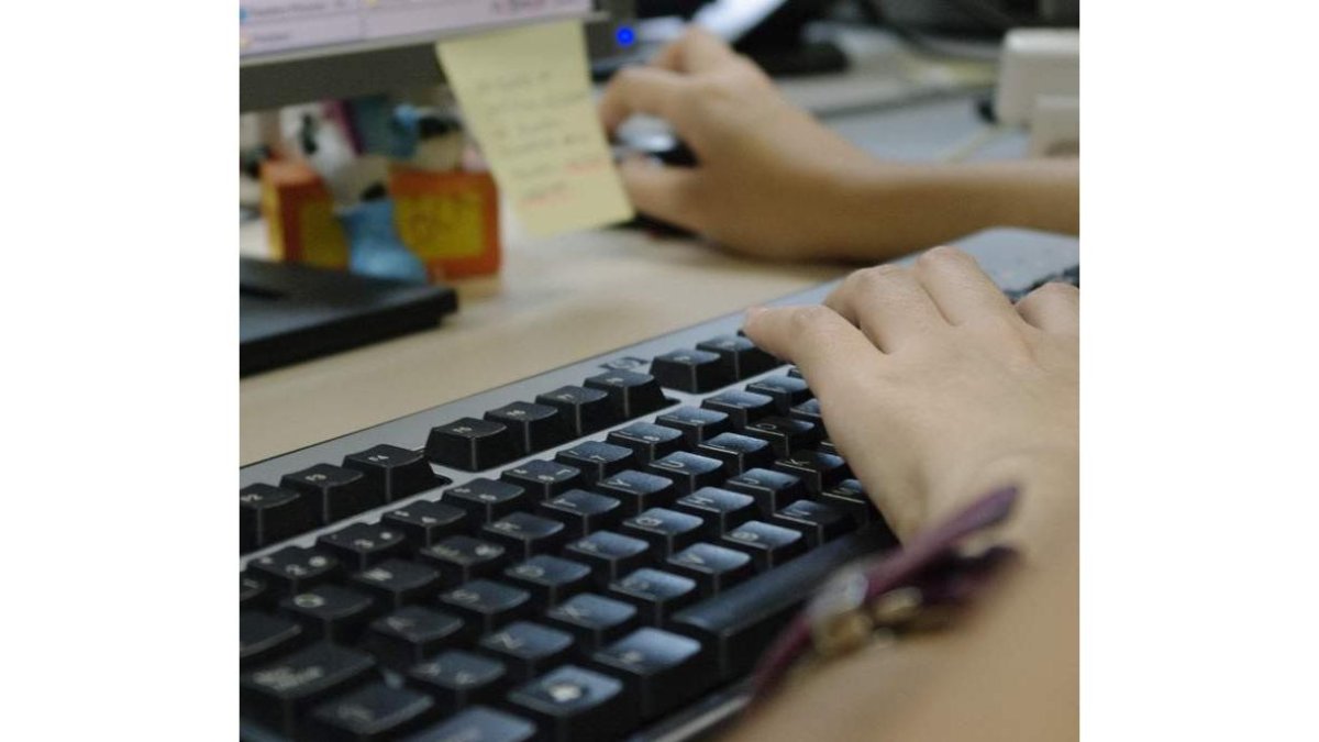 La pequeña empresa apuesta por la fibra óptica. DL