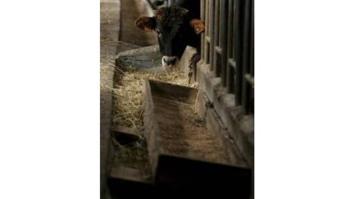 Los agricultores leoneses siguen pidiendo solicitudes a la Junta