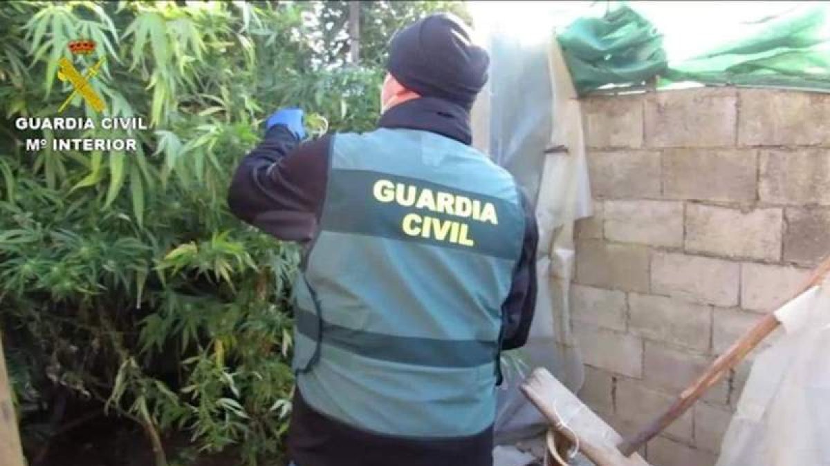 Un agente trabaja en la zona. DL