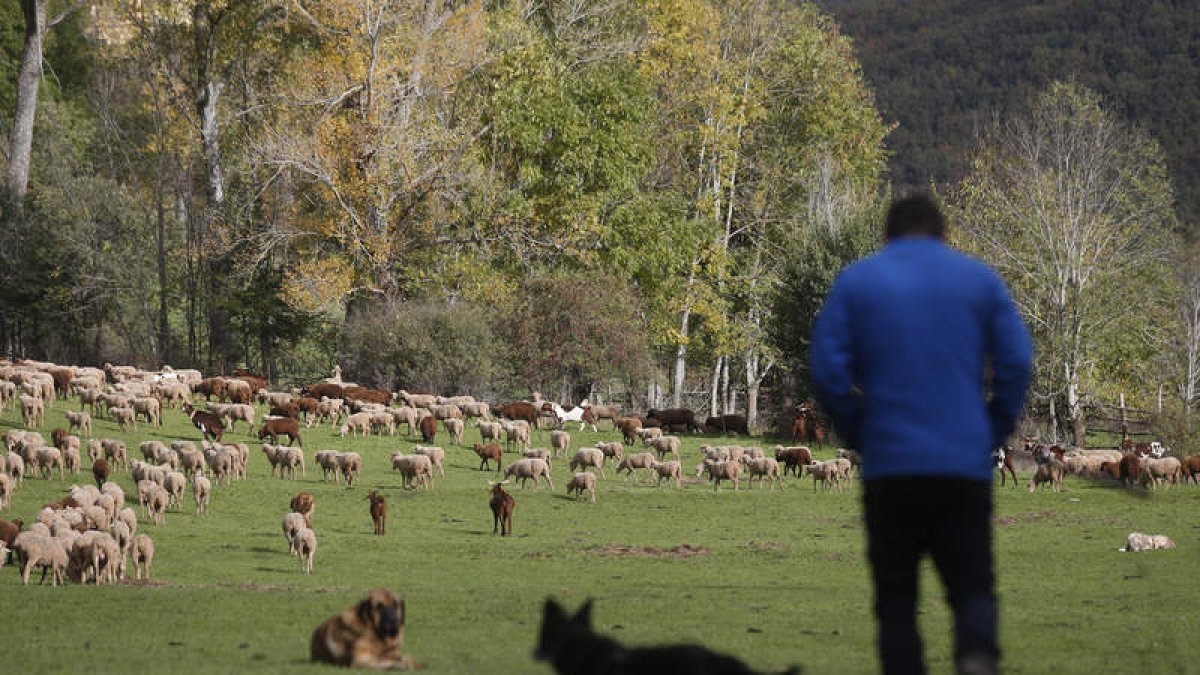 Las compensaciones se harán con carácter retroactivo desde el 21 de septiembre. FERNANDO OTERO