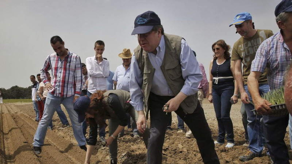 Juan Vicente Herrera, ayer, plantando puerros en Gomezserracín (Segovia).