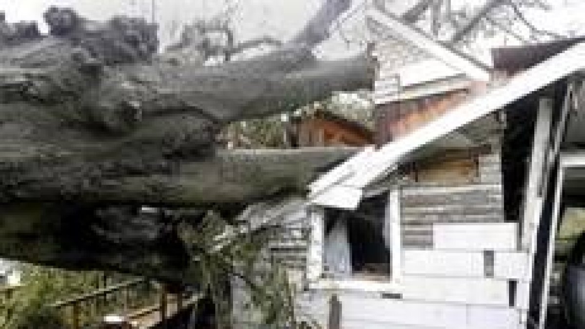 Un árbol destruye parte de una casa en Beaumont