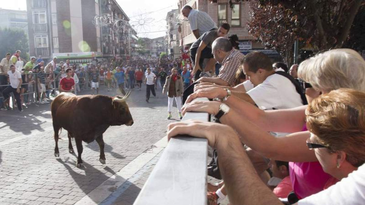 El primer encierro de Cuéllar se saldó con un fallecido por asta de toro en el tórax que le atravesó el corazón