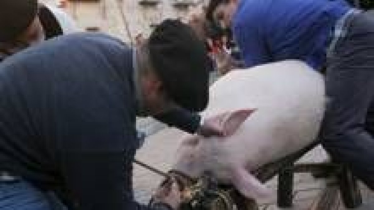 La escena propia de la fecha de San Martín no se va a repetir este año en el Húmedo