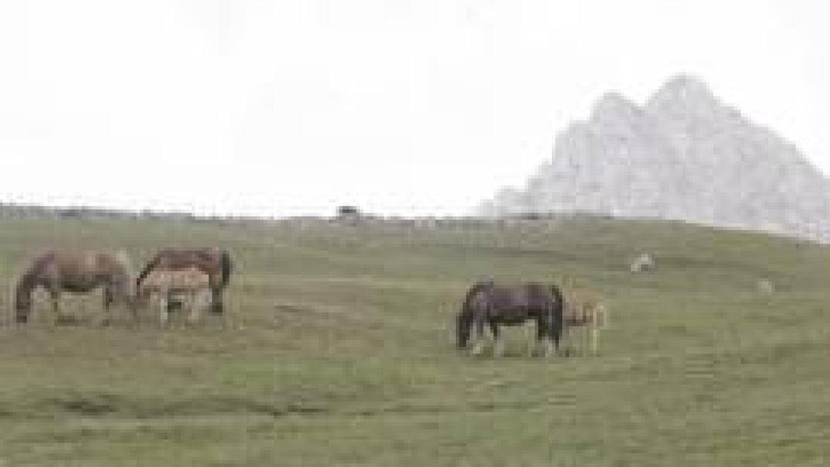 El puerto de Pinos, objeto de pleito entre Babia y Mieres