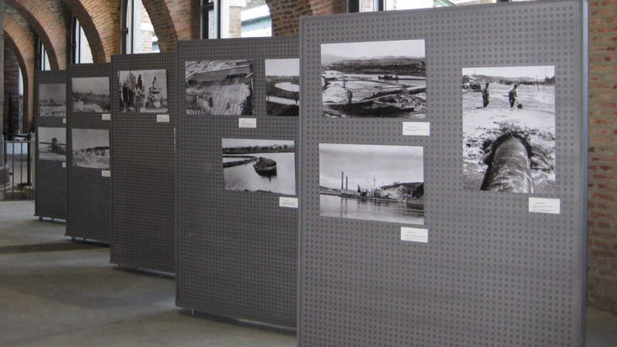 Parte de los paneles que conforman la exposición temporal.