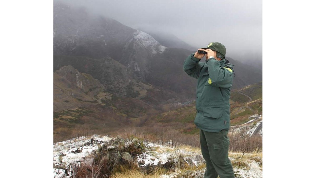 Un guarda de la Junta, vigilando el monte el año pasado.